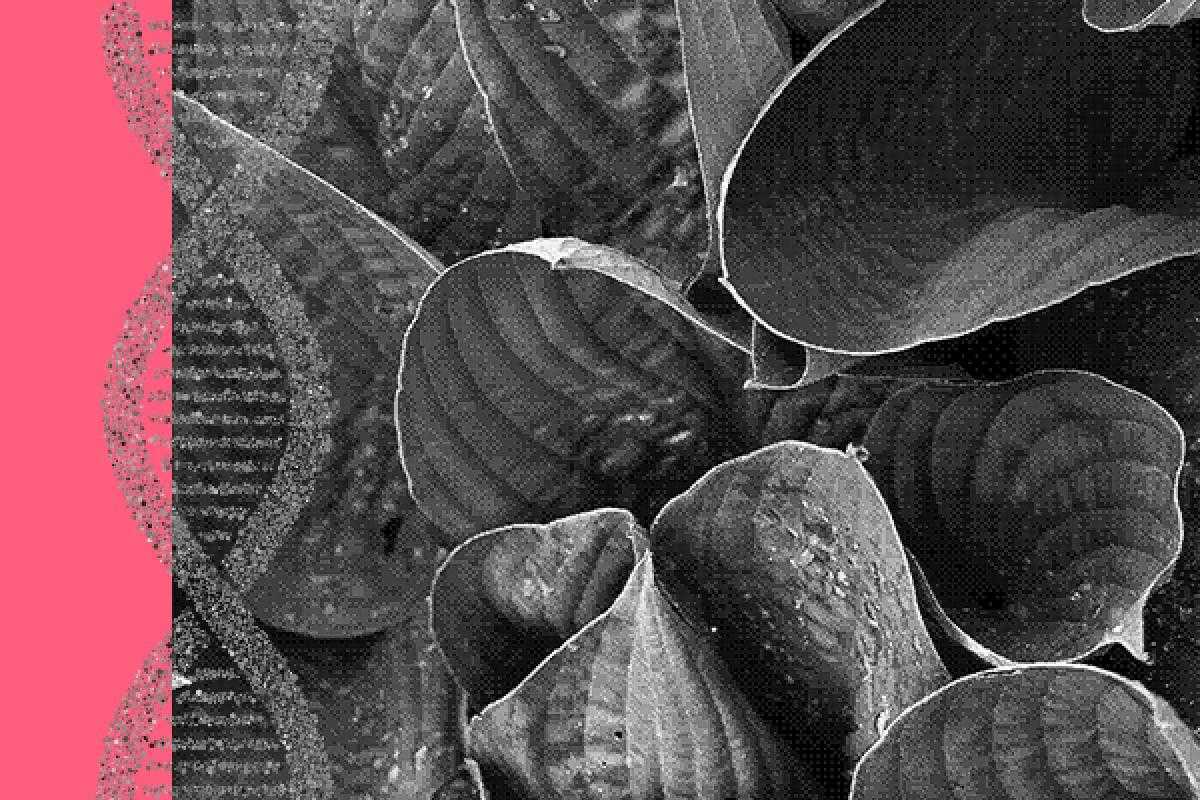 Biologie Biologie