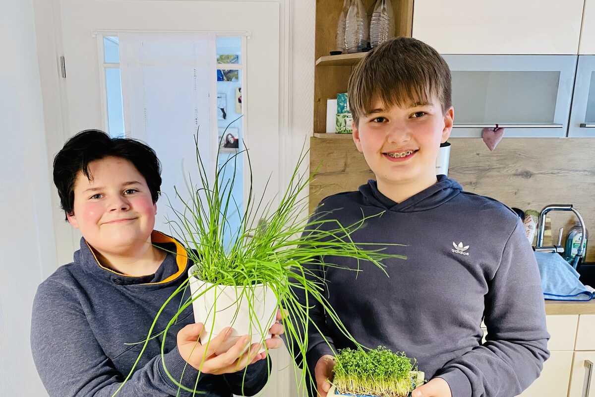 Wachstumshelfer für Küchenkräuter