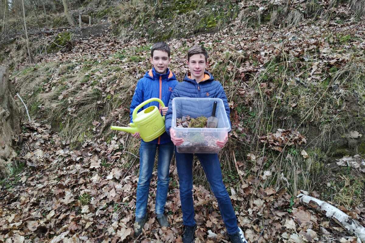 Verdurstet der Wald – Teil 2 Verdurstet der Wald – Teil 2