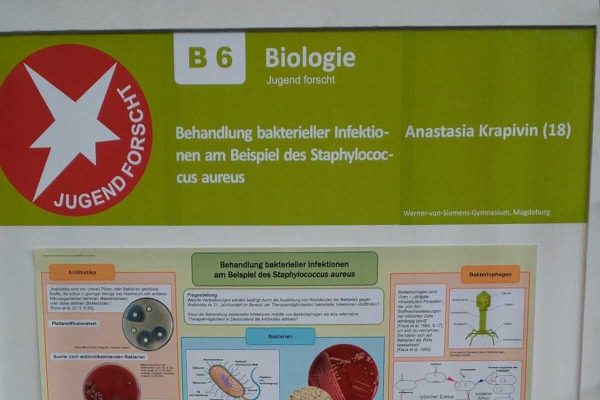 Behandlung bakterieller Infektionen Behandlung bakterieller Infektionen