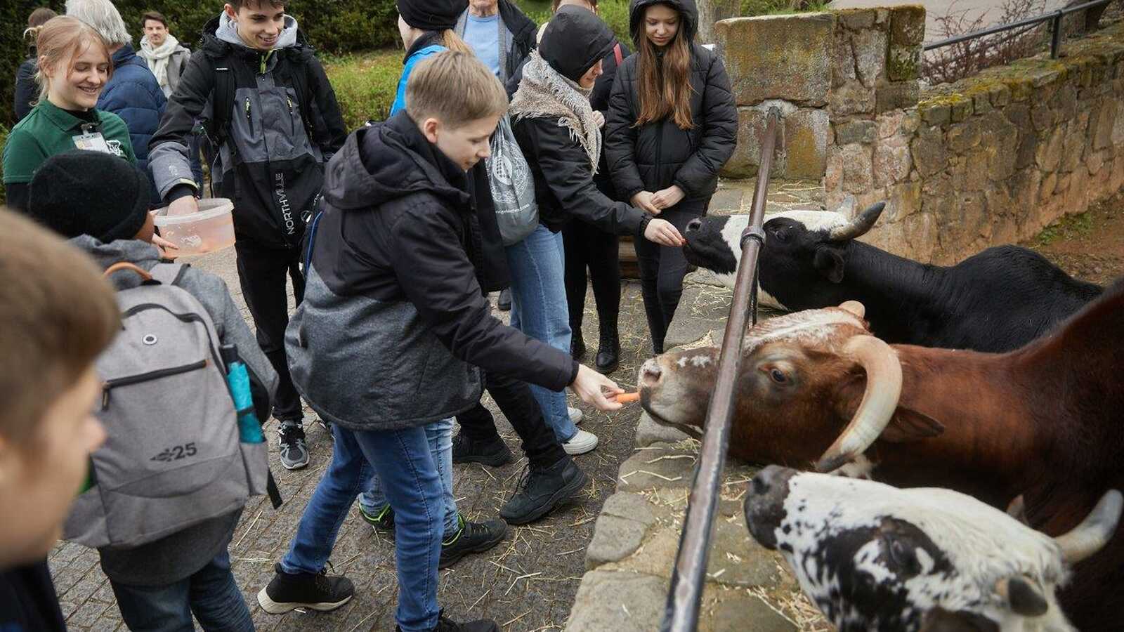 Programm und Sonderpreisverleihung