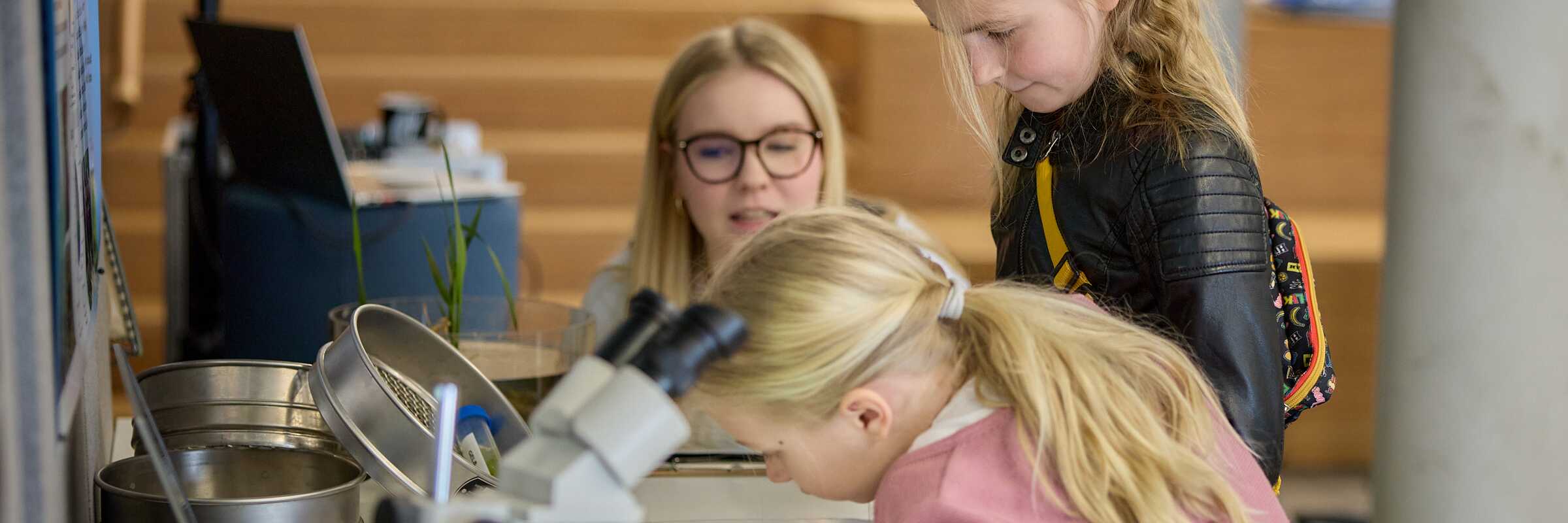 Teilnehmende Landeswettbewerb 2025